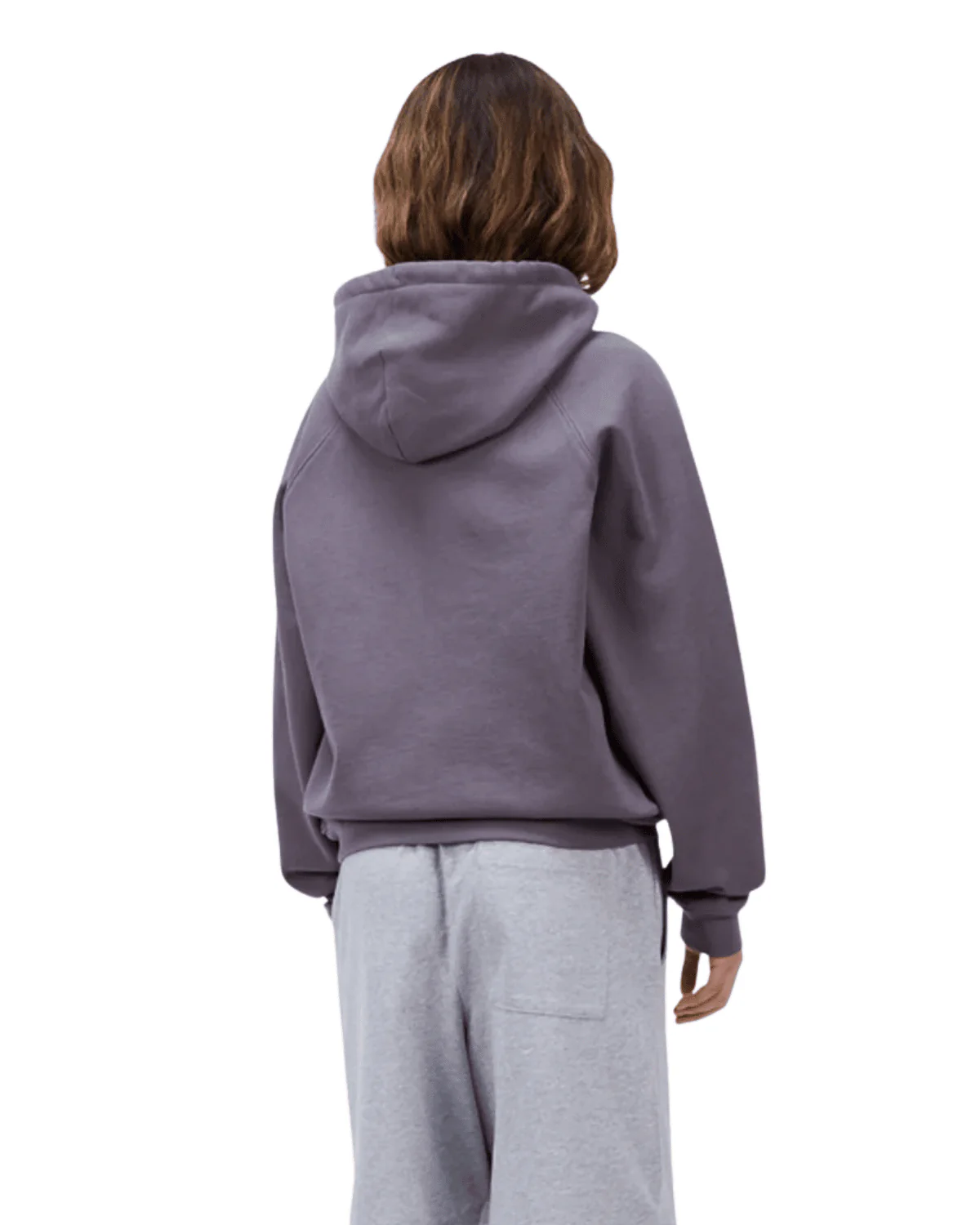 Classic Small Logo Zip Hoodie Charcoal Grape - Image 3