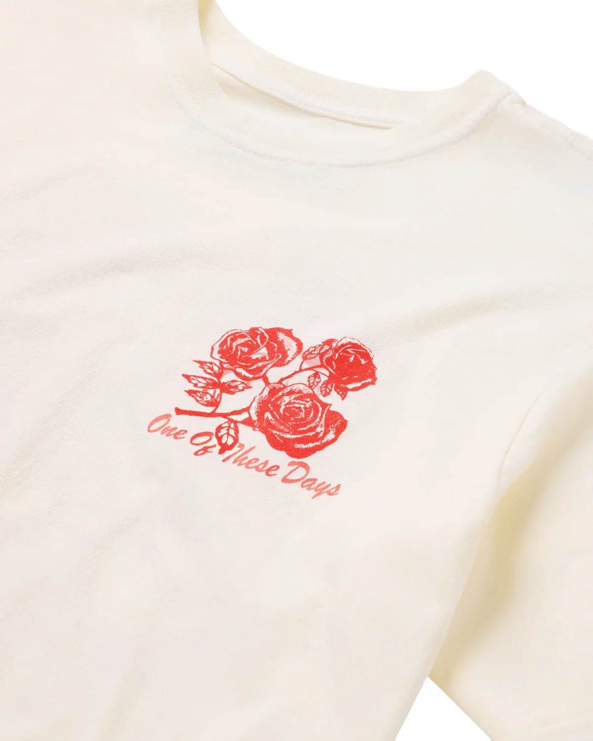 Sweet Jane T-Shirt Bone - Image 3