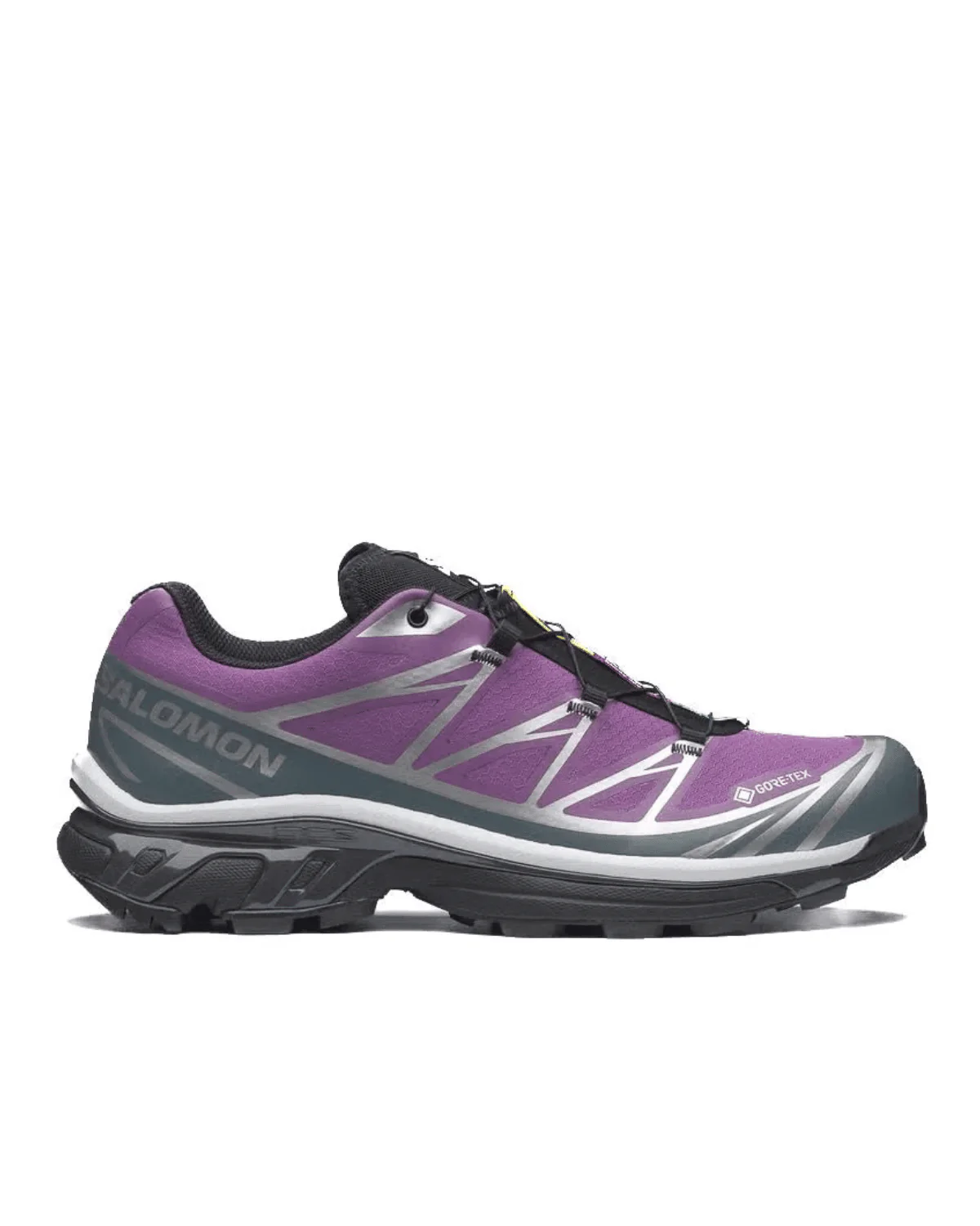 XT-6 GTX Concord Grape
